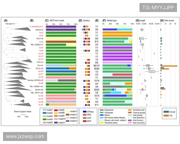 杭州攀岩队节奏表现数据分析揭示训练与比赛的关键因素